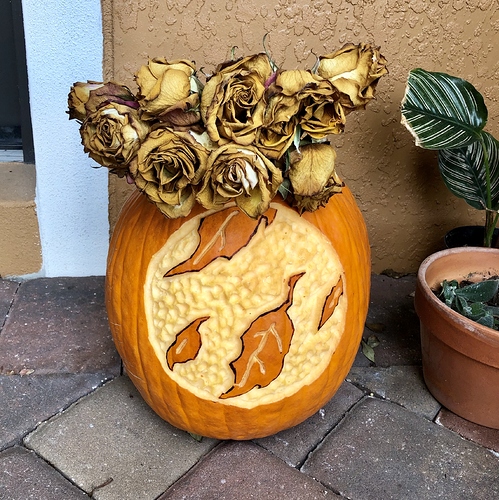 afipumpkin