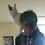alex666
